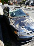 1994 Honda Accord Dx part out tree landed on it